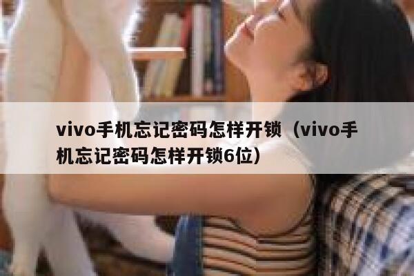 vivo手机忘记密码怎样开锁（vivo手机忘记密码怎样开锁6位） 第1张