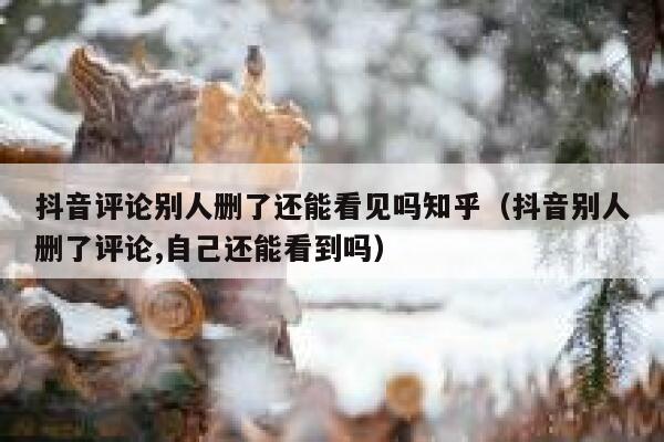 抖音评论别人删了还能看见吗知乎(抖音别人删了评论,自己还能看到吗) 第1张 抖音评论别人删了还能看见吗知乎(抖音别人删了评论,自己还能看到吗) 第1张