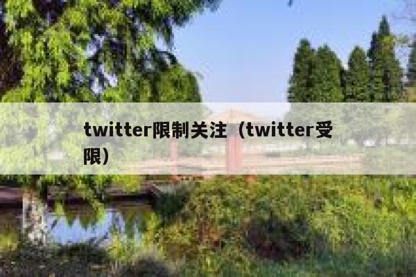 twitter限制关注（twitter受限） 第1张