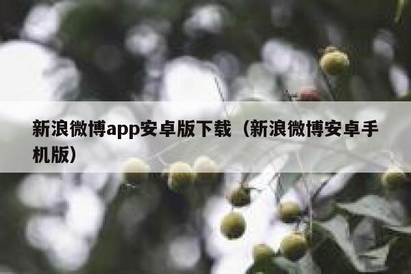 新浪微博app安卓版下载（新浪微博安卓手机版） 第1张