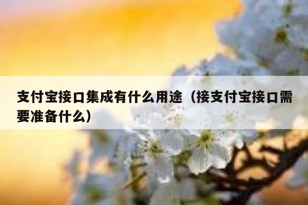 支付宝接口集成有什么用途（接支付宝接口需要准备什么） 第1张