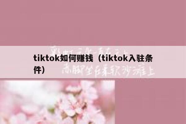 tiktok如何赚钱（tiktok入驻条件） 第1张