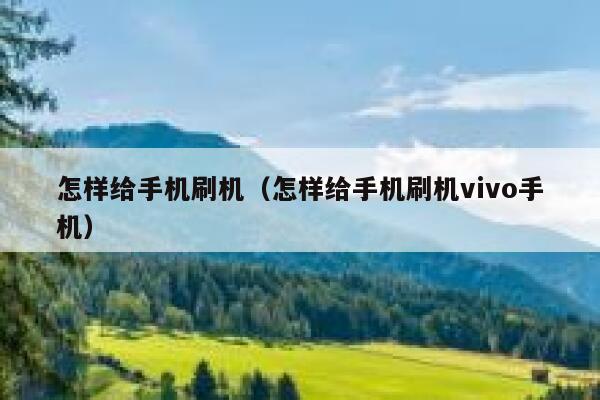 怎样给手机刷机（怎样给手机刷机vivo手机） 第1张