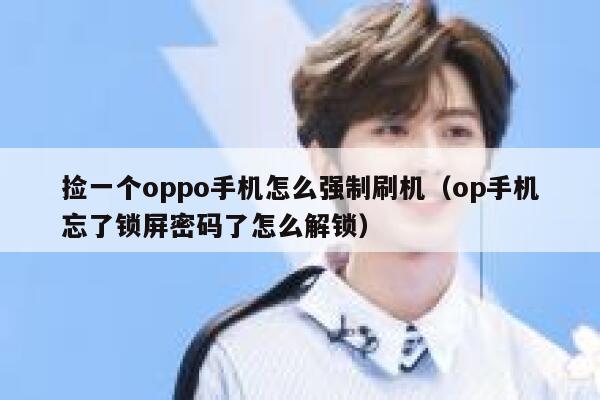 捡一个oppo手机怎么强制刷机（op手机忘了锁屏密码了怎么解锁） 第1张
