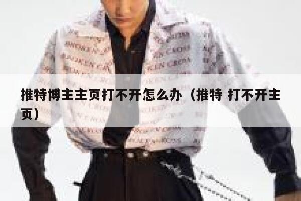 推特博主主页打不开怎么办（推特 打不开主页） 第1张