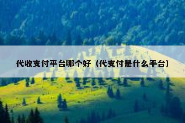 代收支付平台哪个好(代支付是什么平台) 第1张 代收支付平台哪个好(代支付是什么平台) 第1张