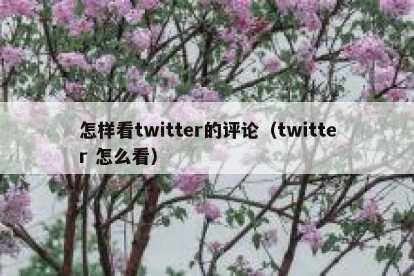 怎样看twitter的评论(twitter 怎么看) 第1张 怎样看twitter的评论(twitter 怎么看) 第1张