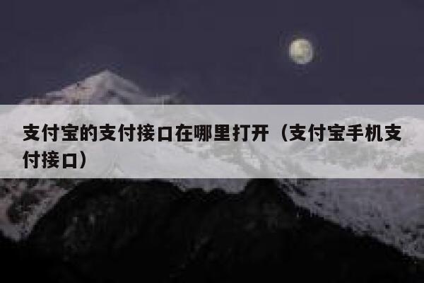 支付宝的支付接口在哪里打开(支付宝手机支付接口) 第1张 支付宝的支付接口在哪里打开(支付宝手机支付接口) 第1张