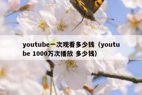 youtube一次观看多少钱（youtube 1000万次播放 多少钱） 第1张