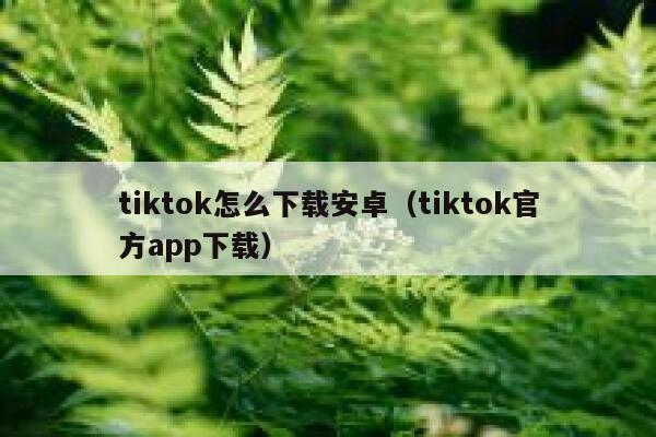 tiktok怎么下载安卓（tiktok官方app下载） 第1张