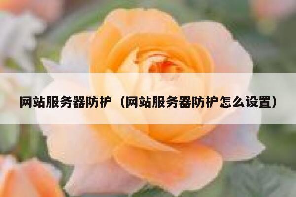 网站服务器防护（网站服务器防护怎么设置） 第1张