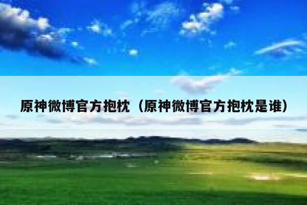 原神微博官方抱枕（原神微博官方抱枕是谁） 第1张