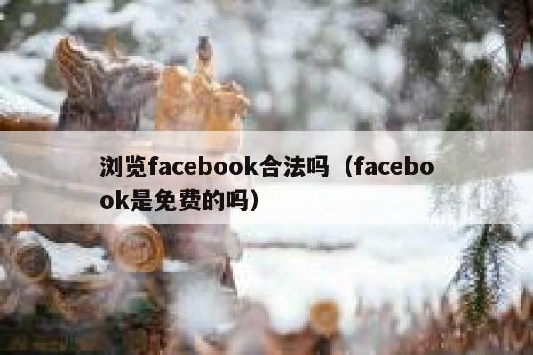 浏览facebook合法吗(facebook是免费的吗) 第1张 浏览facebook合法吗(facebook是免费的吗) 第1张
