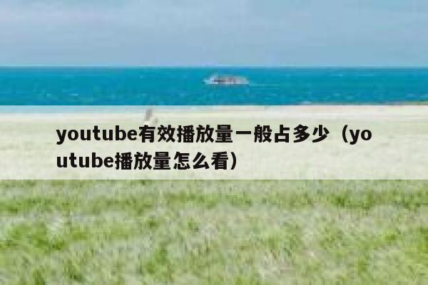 youtube有效播放量一般占多少(youtube播放量怎么看) 第1张 youtube有效播放量一般占多少(youtube播放量怎么看) 第1张