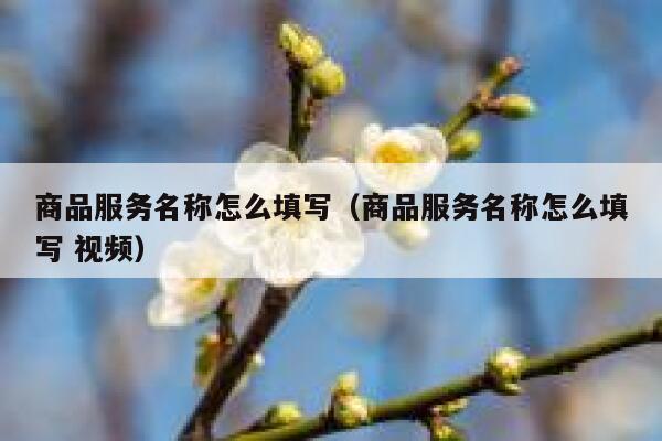 商品服务名称怎么填写(商品服务名称怎么填写 视频) 第1张 商品服务名称怎么填写(商品服务名称怎么填写 视频) 第1张
