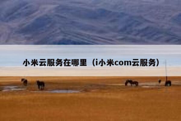 小米云服务在哪里（i小米com云服务） 第1张