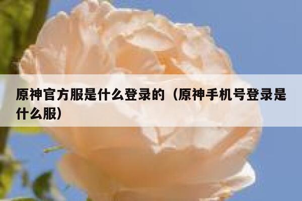 原神官方服是什么登录的（原神手机号登录是什么服） 第1张