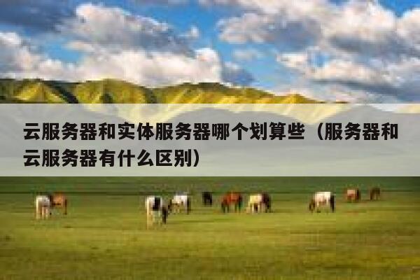 云服务器和实体服务器哪个划算些（服务器和云服务器有什么区别） 第1张