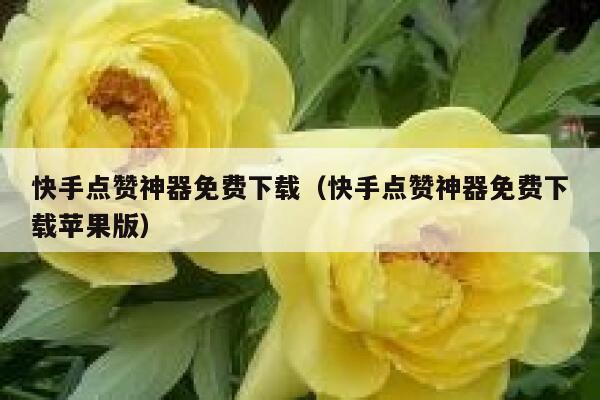 快手点赞神器免费下载(快手点赞神器免费下载苹果版) 第1张 快手点赞神器免费下载(快手点赞神器免费下载苹果版) 第1张