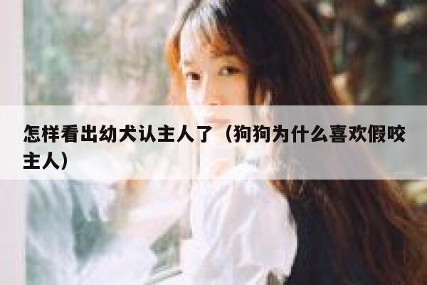 怎样看出幼犬认主人了(狗狗为什么喜欢假咬主人) 第1张 怎样看出幼犬认主人了(狗狗为什么喜欢假咬主人) 第1张