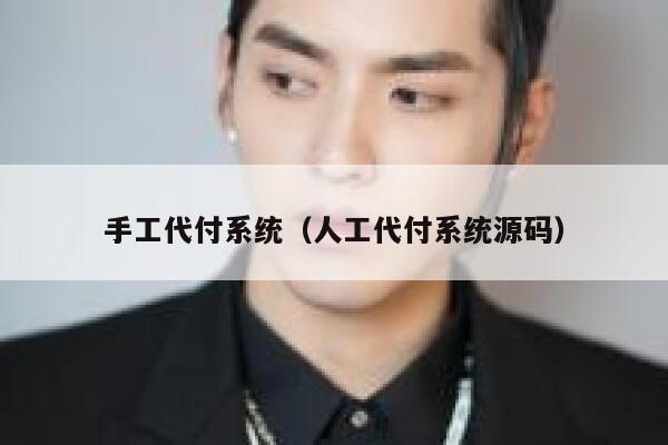 手工代付系统（人工代付系统源码） 第1张