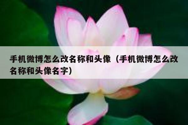 手机微博怎么改名称和头像（手机微博怎么改名称和头像名字） 第1张