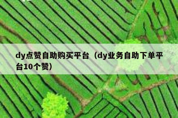 dy点赞自助购买平台（dy业务自助下单平台10个赞） 第1张