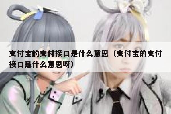 支付宝的支付接口是什么意思（支付宝的支付接口是什么意思呀） 第1张