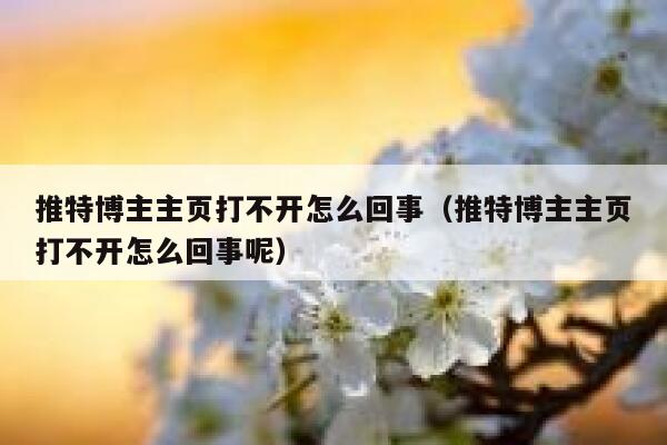 推特博主主页打不开怎么回事(推特博主主页打不开怎么回事呢) 第1张 推特博主主页打不开怎么回事(推特博主主页打不开怎么回事呢) 第1张