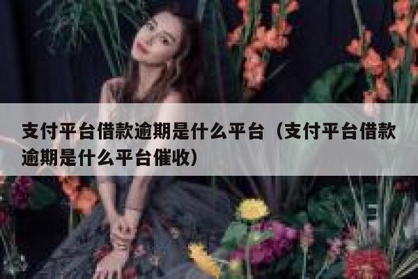 支付平台借款逾期是什么平台(支付平台借款逾期是什么平台催收) 第1张 支付平台借款逾期是什么平台(支付平台借款逾期是什么平台催收) 第1张