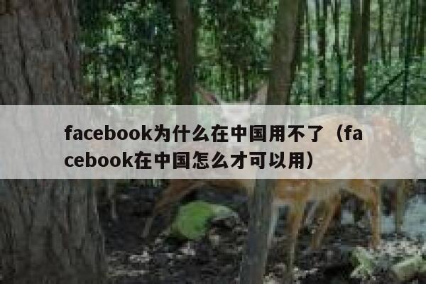 facebook为什么在中国用不了(facebook在中国怎么才可以用) 第1张 facebook为什么在中国用不了(facebook在中国怎么才可以用) 第1张