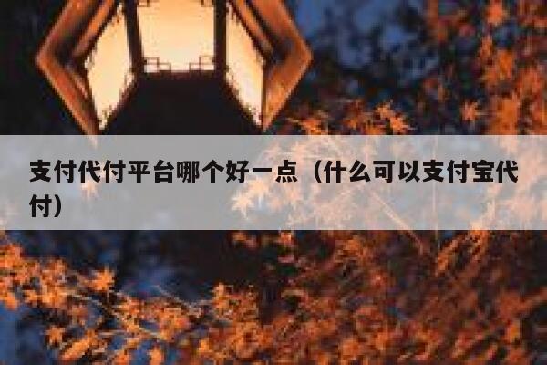 支付代付平台哪个好一点（什么可以支付宝代付） 第1张