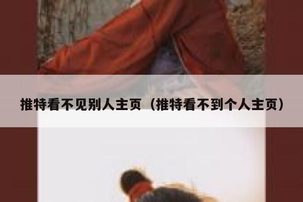 推特看不见别人主页（推特看不到个人主页） 第1张