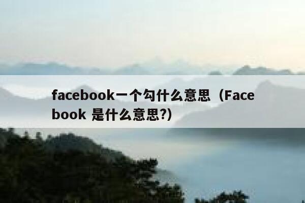 facebook一个勾什么意思（Facebook 是什么意思?） 第1张