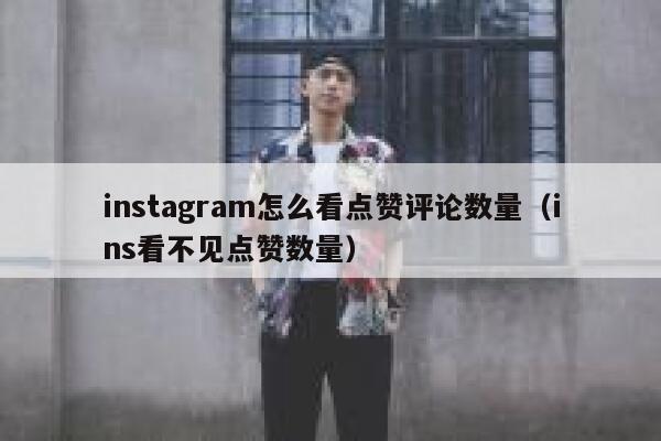 instagram怎么看点赞评论数量（ins看不见点赞数量） 第1张