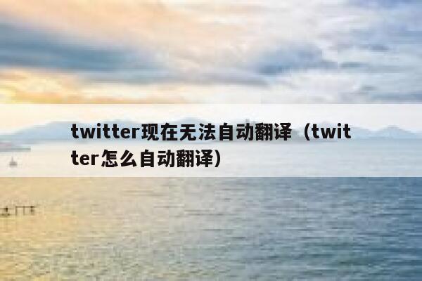 twitter现在无法自动翻译（twitter怎么自动翻译） 第1张