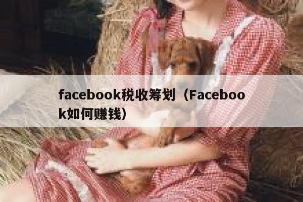 facebook税收筹划（Facebook如何赚钱） 第1张
