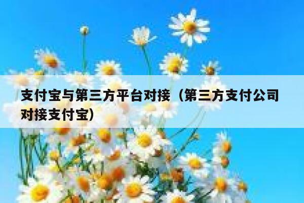 支付宝与第三方平台对接（第三方支付公司 对接支付宝） 第1张