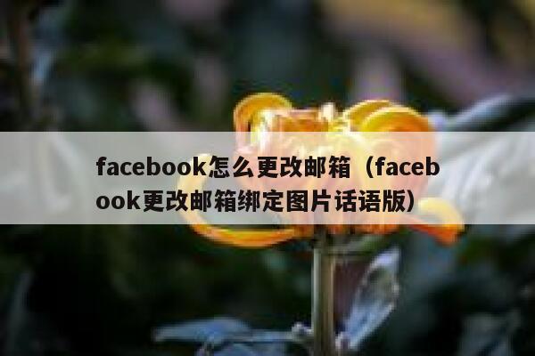 facebook怎么更改邮箱（facebook更改邮箱绑定图片话语版） 第1张