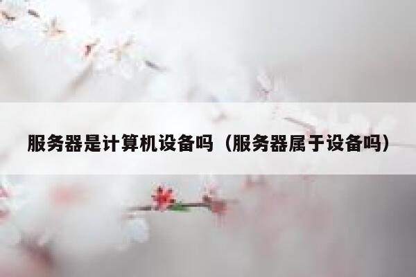 服务器是计算机设备吗（服务器属于设备吗） 第1张