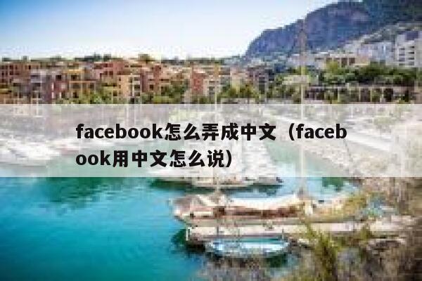 facebook怎么弄成中文（facebook用中文怎么说） 第1张