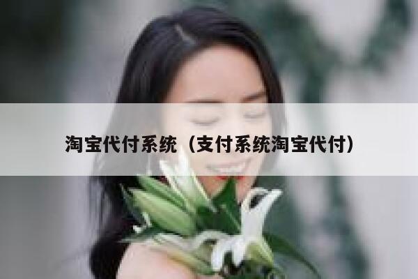 淘宝代付系统（支付系统淘宝代付） 第1张