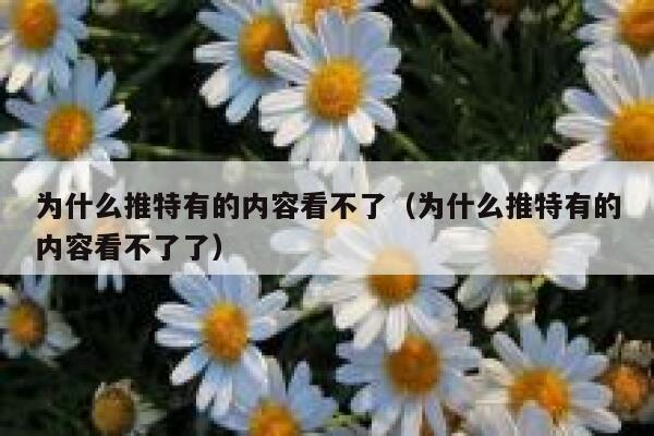 为什么推特有的内容看不了（为什么推特有的内容看不了了） 第1张