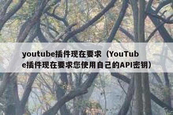 youtube插件现在要求（YouTube插件现在要求您使用自己的API密钥） 第1张