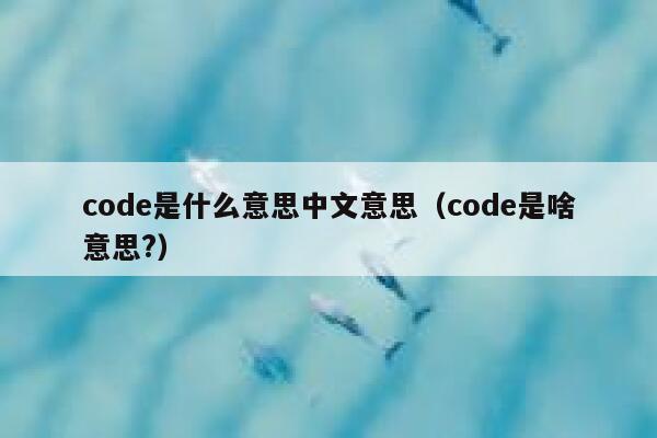 code是什么意思中文意思（code是啥意思?） 第1张