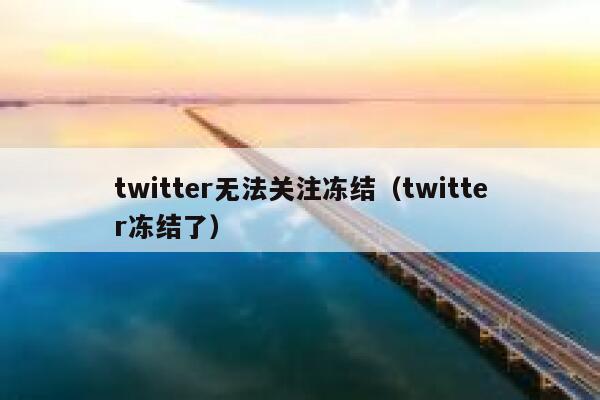 twitter无法关注冻结(twitter冻结了) 第1张 twitter无法关注冻结(twitter冻结了) 第1张