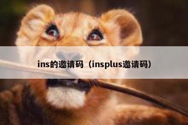 ins的邀请码(insplus邀请码) 第1张 ins的邀请码(insplus邀请码) 第1张