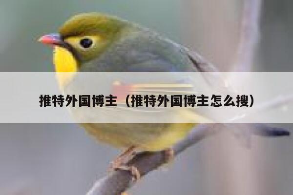 推特外国博主（推特外国博主怎么搜） 第1张