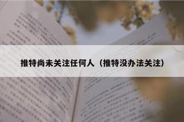 推特尚未关注任何人（推特没办法关注） 第1张