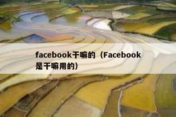facebook干嘛的(Facebook是干嘛用的) 第1张 facebook干嘛的(Facebook是干嘛用的) 第1张